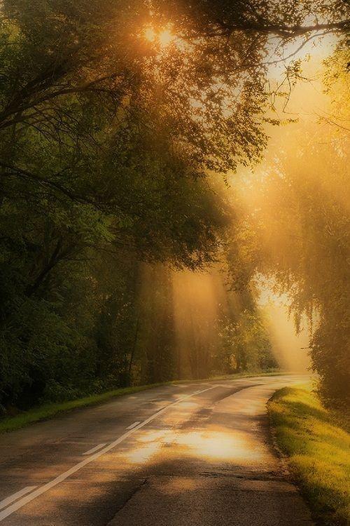 Sendero al amanecer